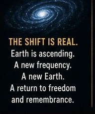 Column Four — “The Shift Is Real”