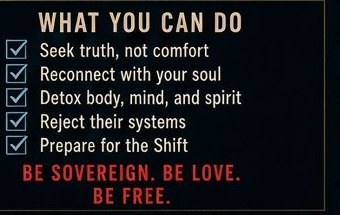 What You Can Do — the Checklist