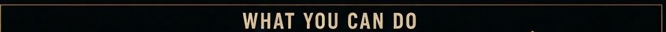 “What You Can Do” — the Counter-Dossier